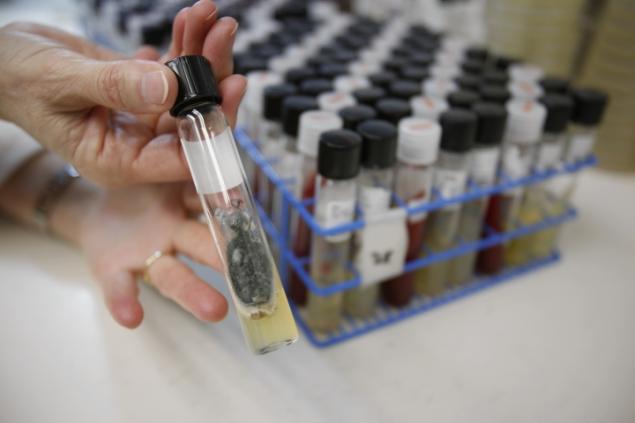 UN condemns Burma violence,  death toll rises,The death toll in western Burma rises, mostly Muslim Rohingyas,